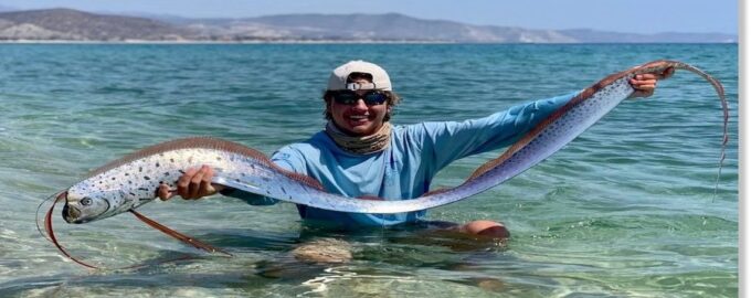 рыба ремень