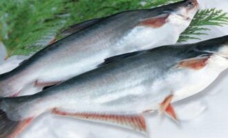 свежая тушка пангасиуса