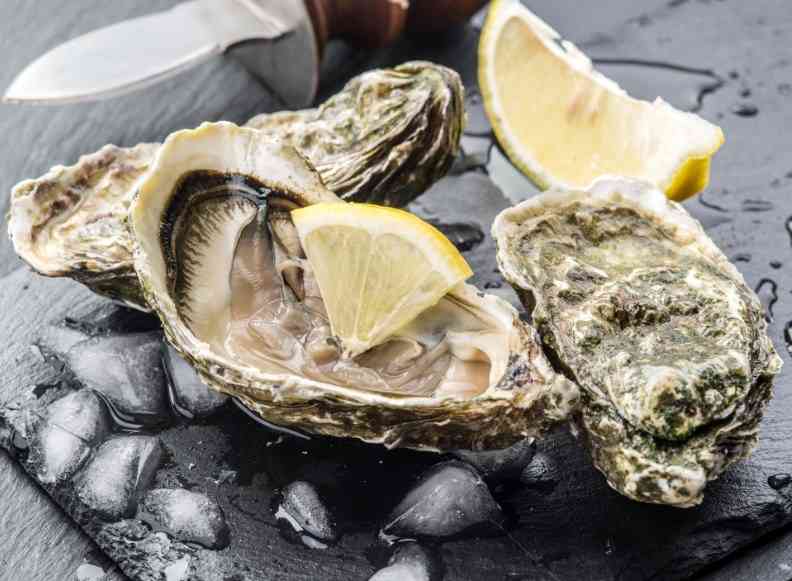 за что ценятся устрицы 