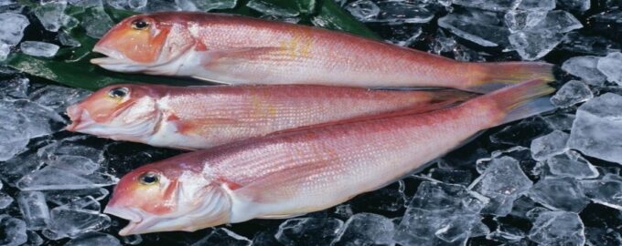 популярная в кулирании рыба