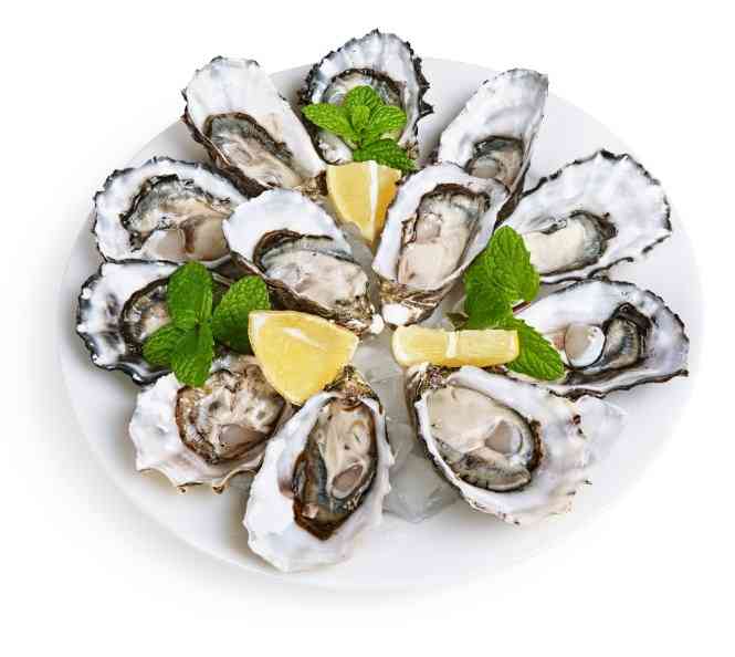 свежие устрицы