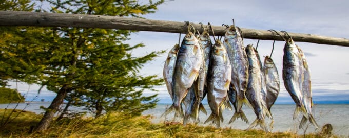 байкальский омуль