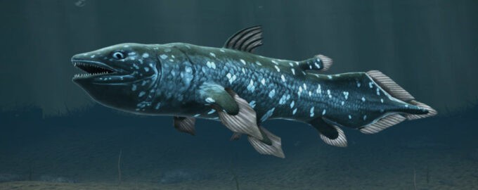 кистеперые относятся к древнейшим рыбам