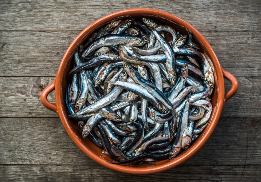 рыба колюшка 