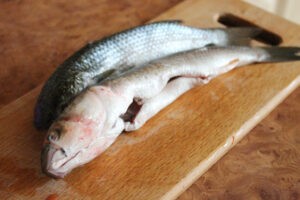 чем пеленгас полезен для человека 