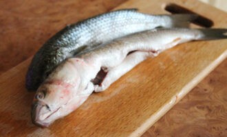 особенности чистки и потрошения пеленгаса