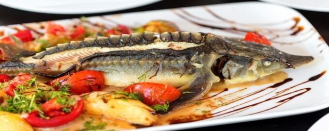 царская рыба стерлядь