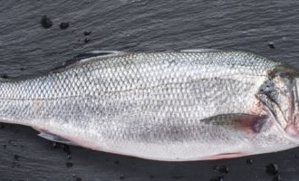 внешний вид ряпушки