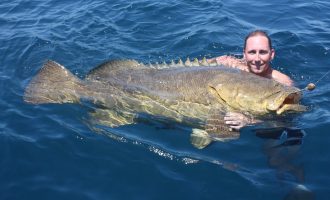 мясо окуня диетическое и помогает поправить здоровье