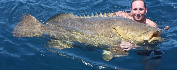 мясо окуня диетическое и помогает поправить здоровье