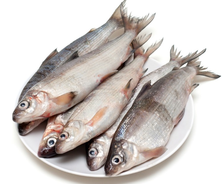 свежая рыба на блюде 