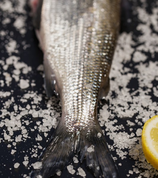 как выглядит ряпушка