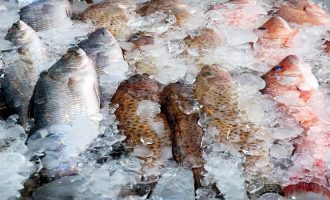 рыба самый популярный продукт у северных народностей