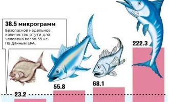 ртуть содержится не только в тунце