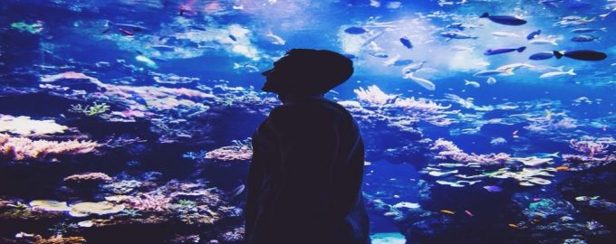 история фамилий связанных с рыбой