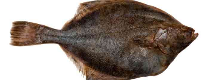 рыба камбала