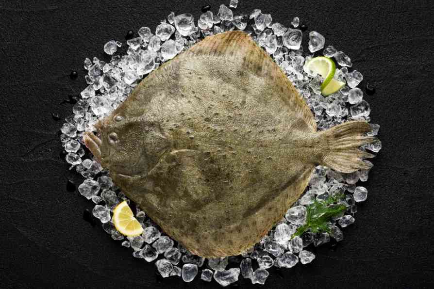 свежая камбала 