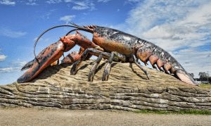 крупный лобстер