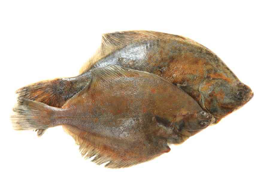 несколько рыб