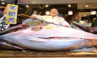 самая дорага рыба по мнению известных поваров