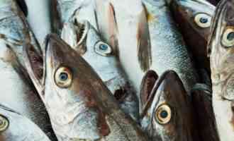 улов трески