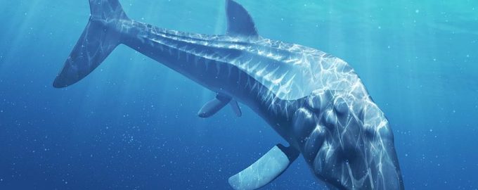 лидсихтис - рыба с длинной в 30 метров