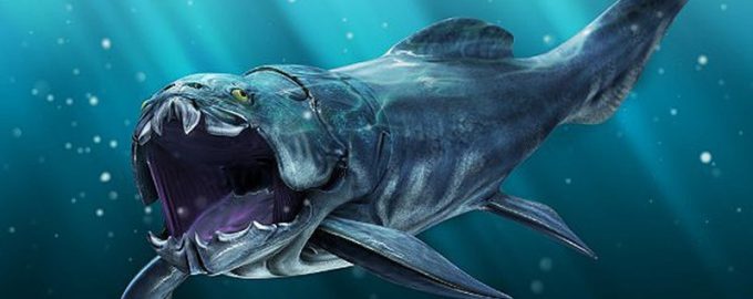 огромная рыба в воде