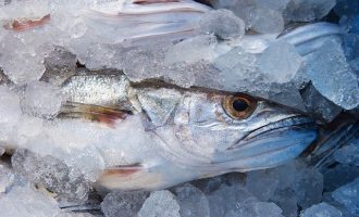 популярная рыба из советского союза