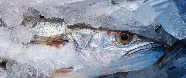 популярная рыба из советского союза