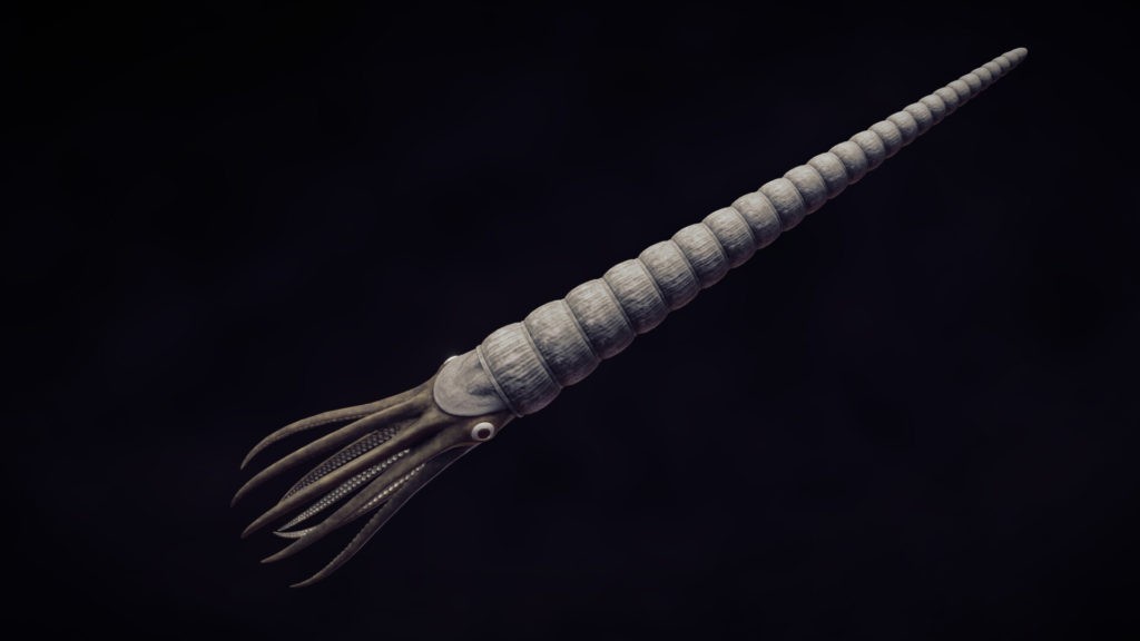 огромный головоногий моллюск