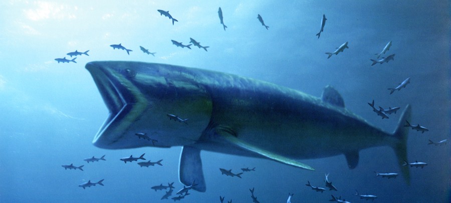 огромная рыба лидсихтис