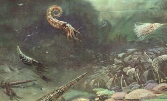 как выглядел древний океан