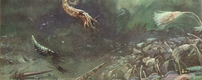 как выглядел древний океан