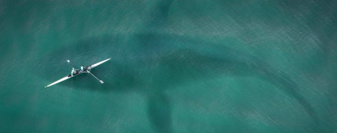 размеры кита в сравнении с лодкой