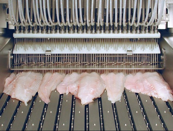 как инъектирую рыбу в промышленных условиях 