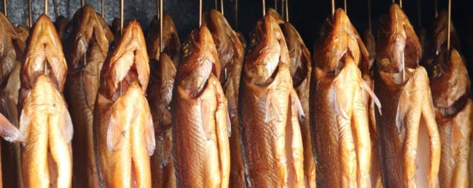 холодное копчение рыбы