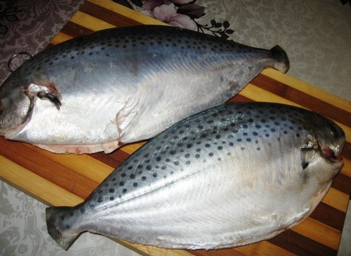 целая тушка рыбы