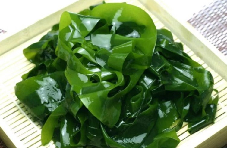 свежая ламинария на блюде