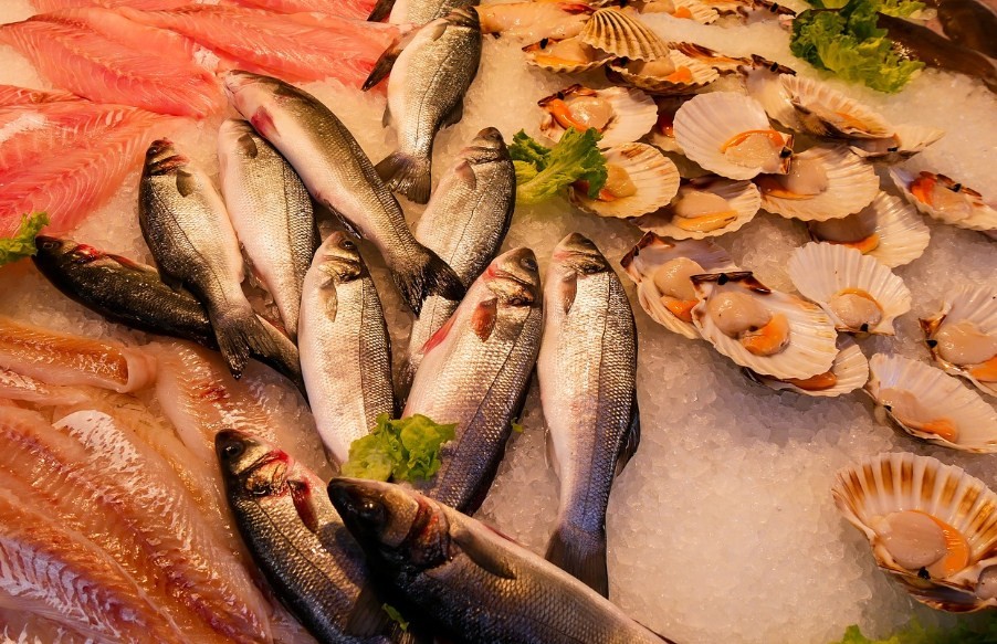 разнообразие морепродуктов на рынке