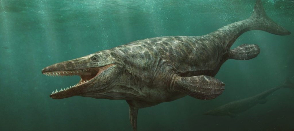 внешний вид тилозавра