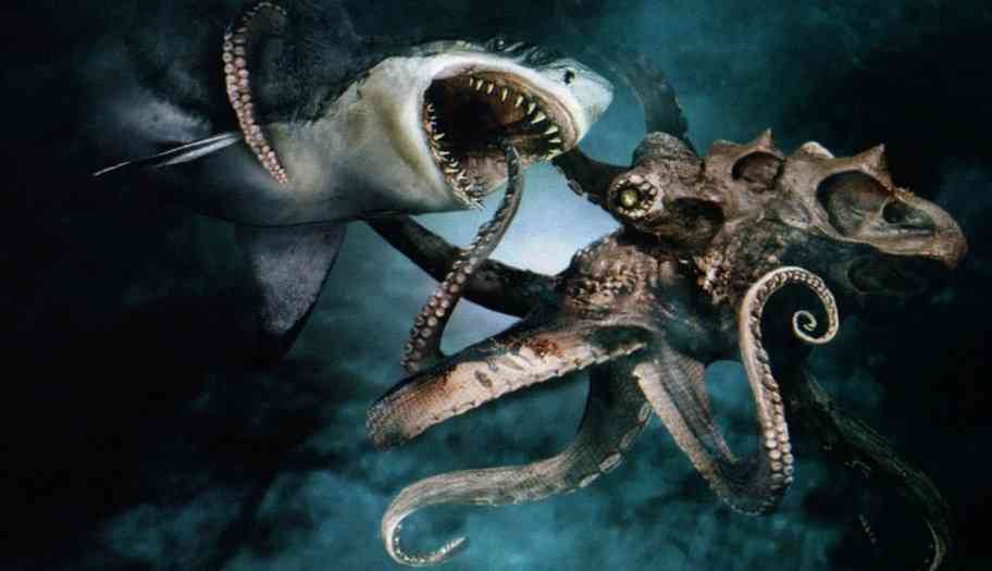 опасен ли осьминог для акулы 