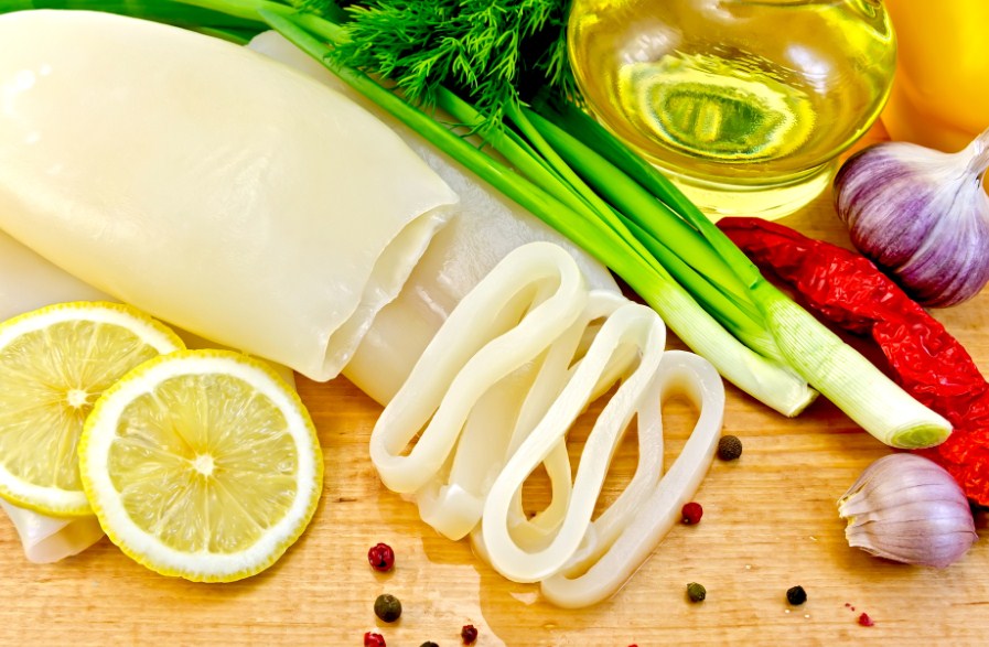 как выглядит кальмар