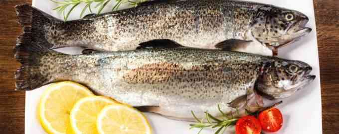 внешний вид морской рыбы