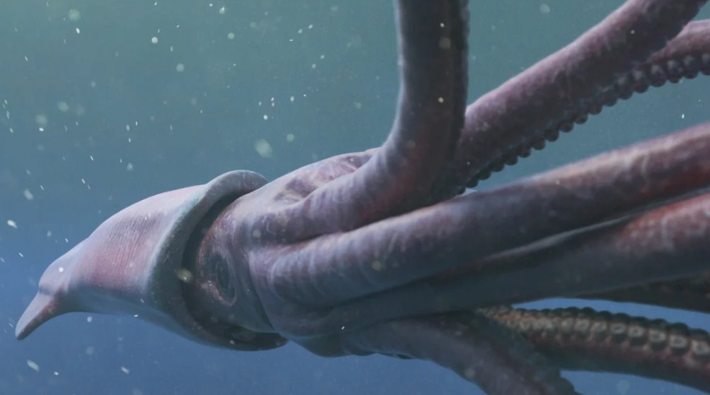 гигантский кальмар