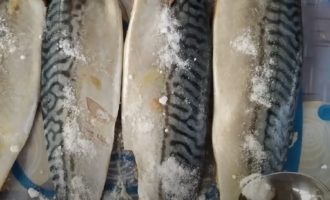 посол скумбрии