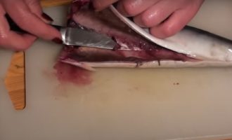 как разделать и почистить скумбрию