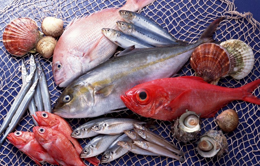 рыбы разных видов 