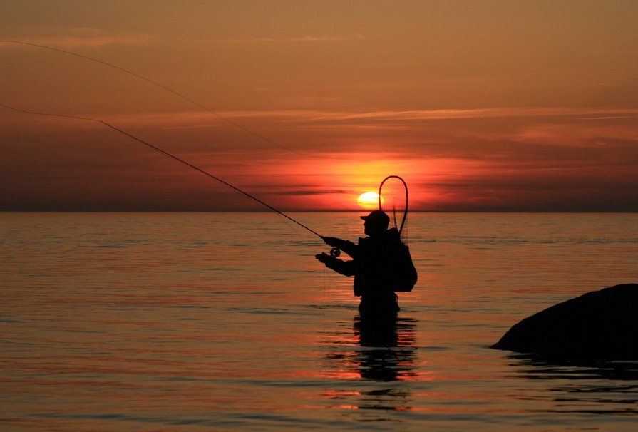 как ловить рыбу