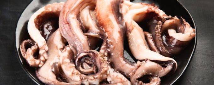 несколько осьминогов