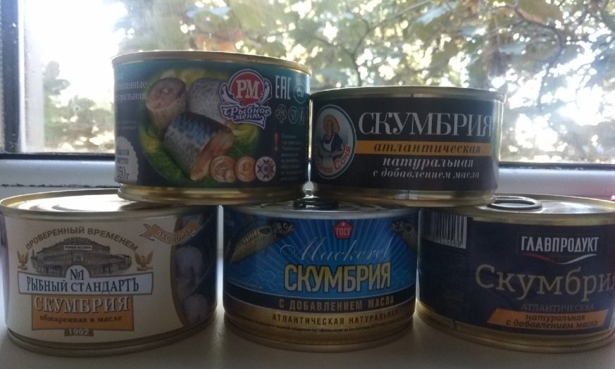 разная скумбрия 